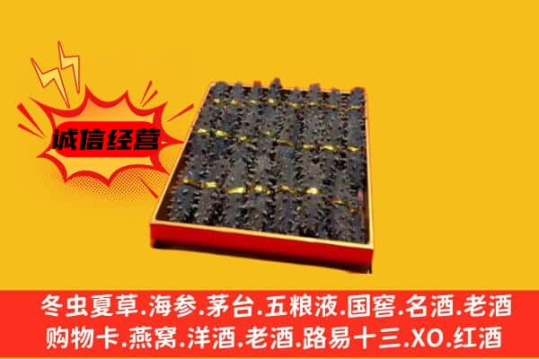 儋州市屯昌回收海参